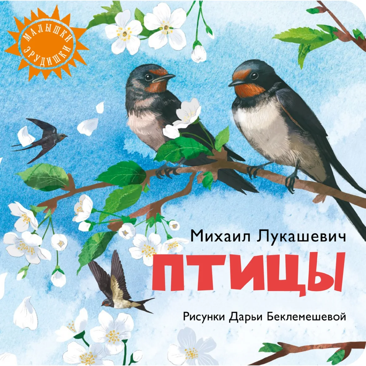 Птицы
